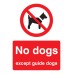 No Dogs Except Guide Dogs