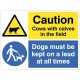 Warning - Cows with Calves in Field - Dogs must be Kept on a Lead